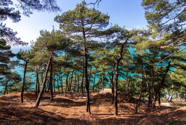 Путешествие по твоему сценарию!