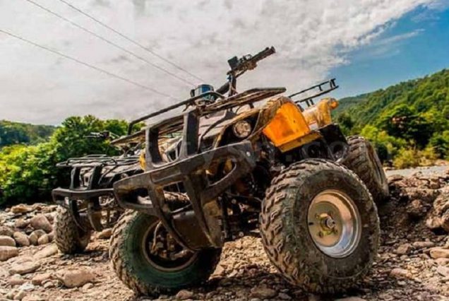 Лес тайн и желаний